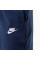 Шорти чоловічі Nike Sportswear Club Fleece (BV2772-410)