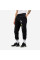 Брюки чоловічі Nike Club Plus Logo Pants Flc (DX0795-010)