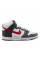 Кросівки унісекс Nike Dunk High Retro (FD0668-001)