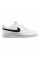 Кросівки чоловічі Nike Court Vision Low Next Nature (DH2987-101)